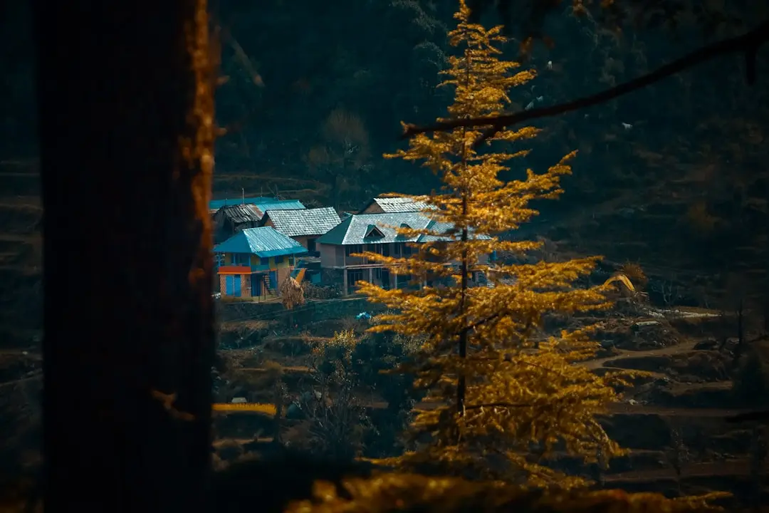 Mengapa Volunteerism Penting bagi Anak Muda