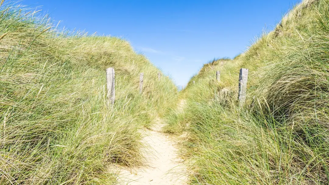 Bagaimana Menyusun To-Do List yang Efektif untuk Anak Muda