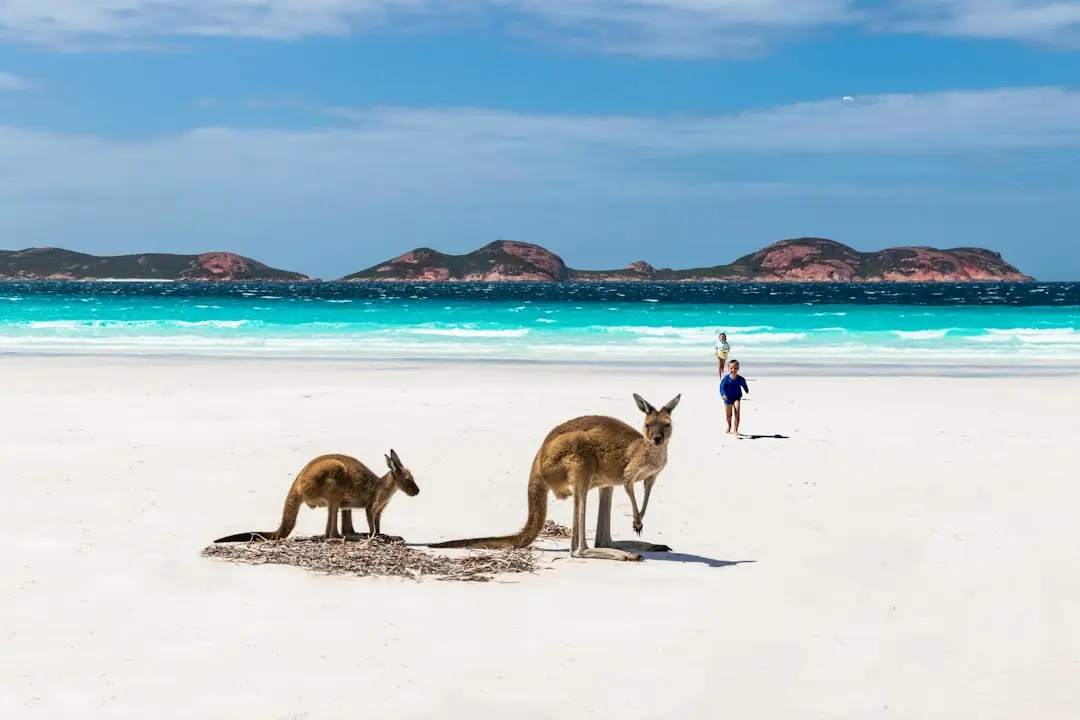 10 Tempat Wisata Menarik di Australia yang Wajib Dikunjungi