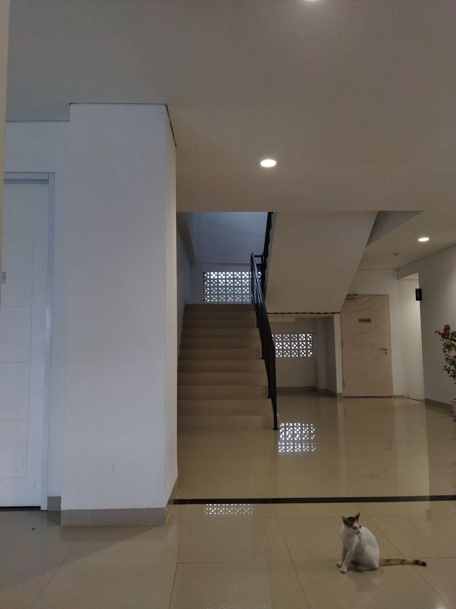 Kage Bunshin no Jutsu