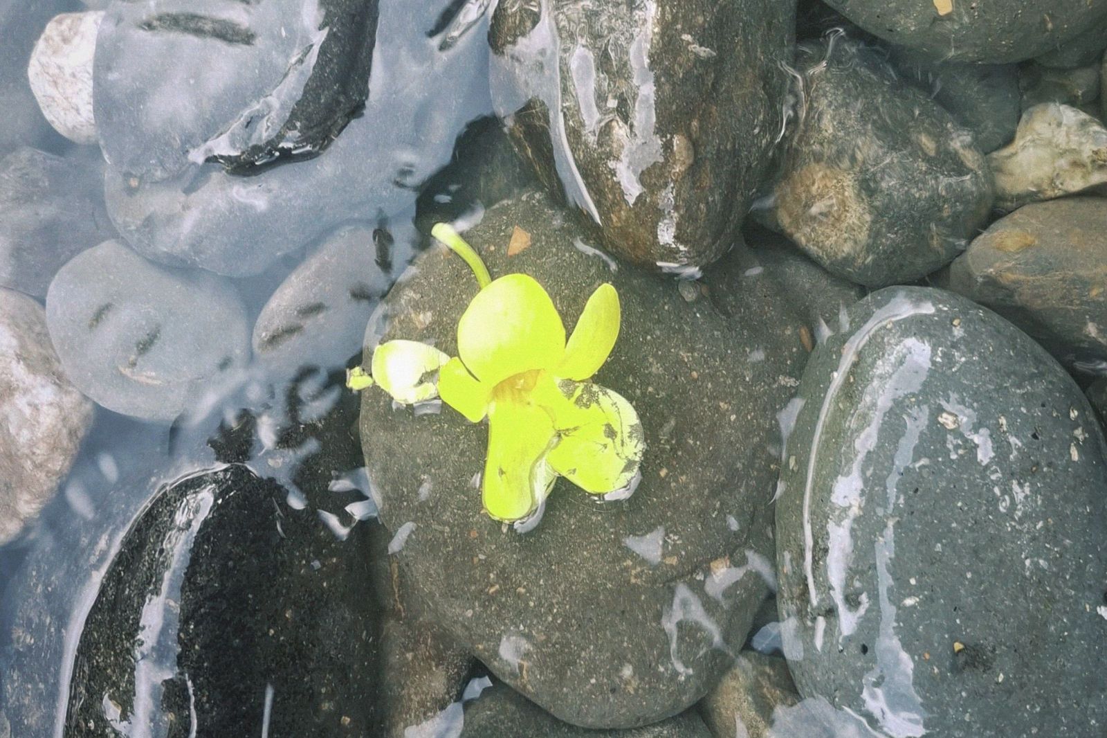 Apa Kabar Tanah Airku?