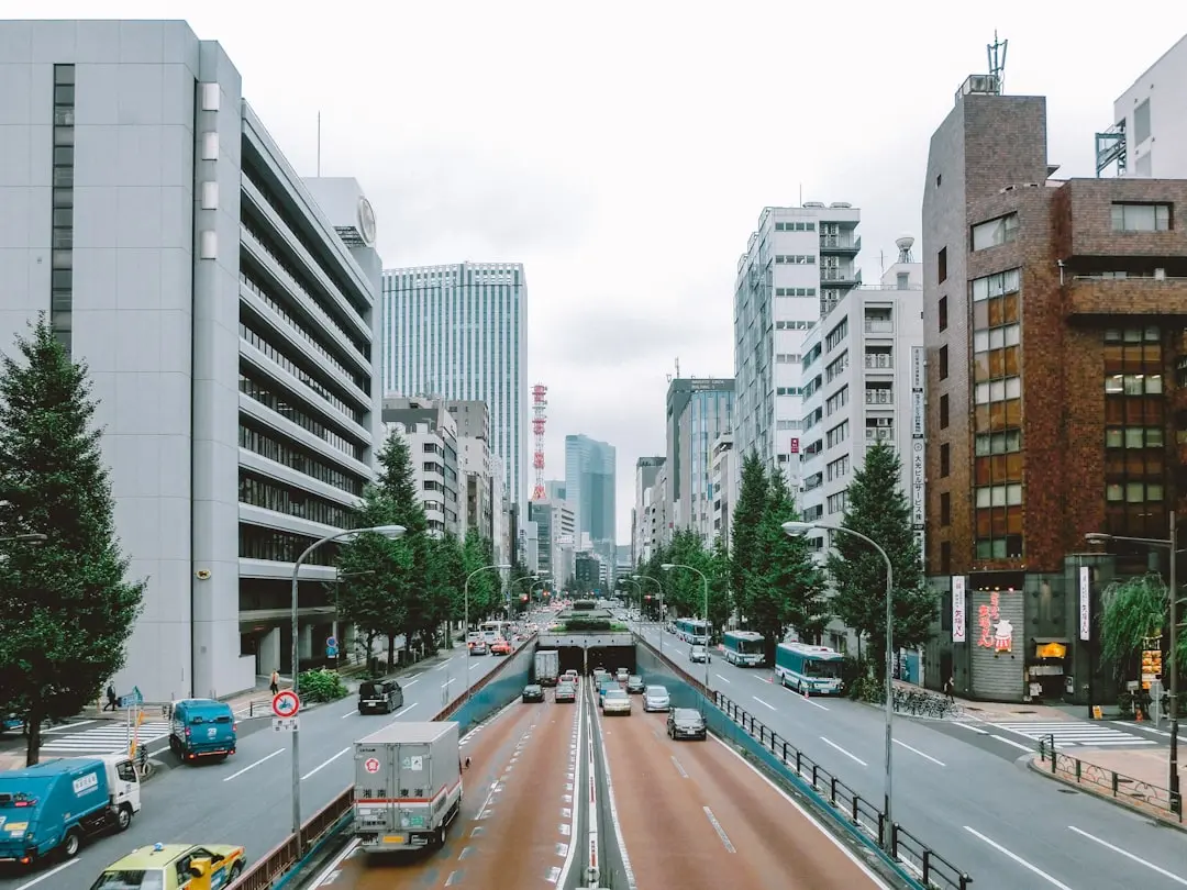 From Harajuku to Akihabara: A Guide to Tokyo's Coolest Neighborhoods